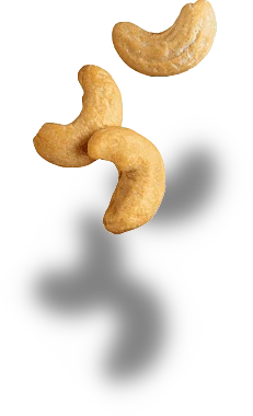 3 castanhas de caju com sombra.