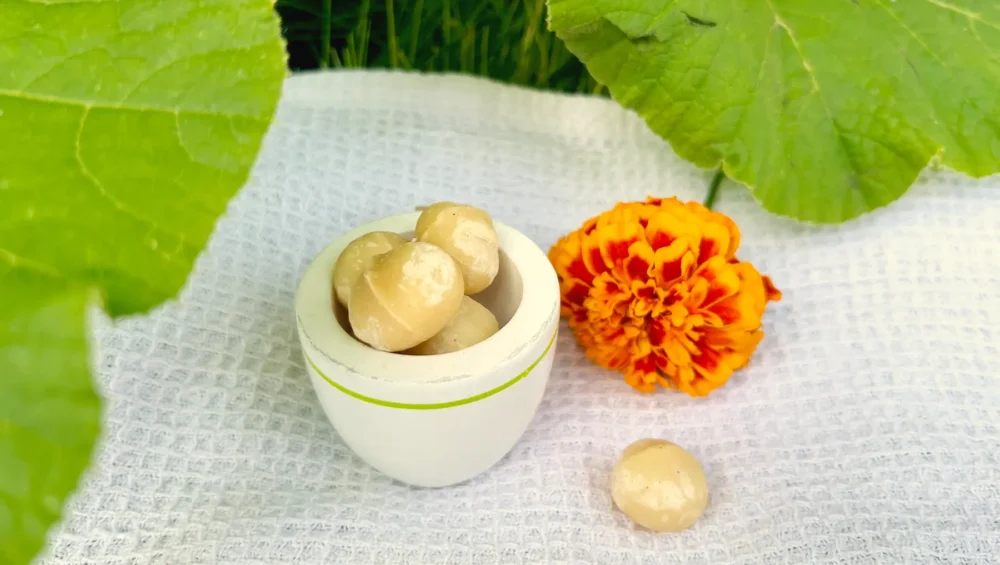 Castanhas de macadâmia em uma xícara de madeira branca. A toalha em que está apoiada, e na qual também se encontra uma flor laranja, está no jardim, como sugerem porções de grama e folhas de plantas.